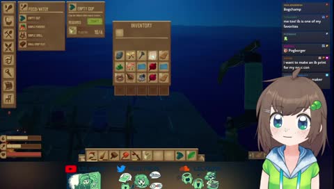 the ocean cruise