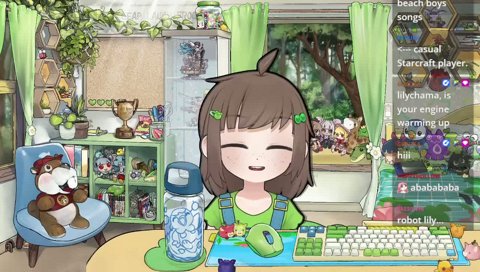streamer handbook