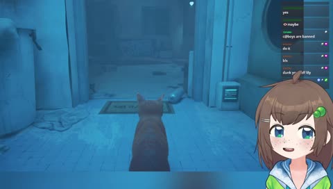 the cat game