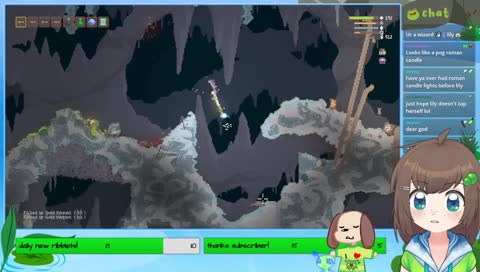 wtf lily!?
