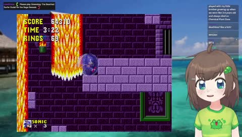 hedgehog game again