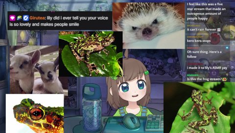 goodnight imouto