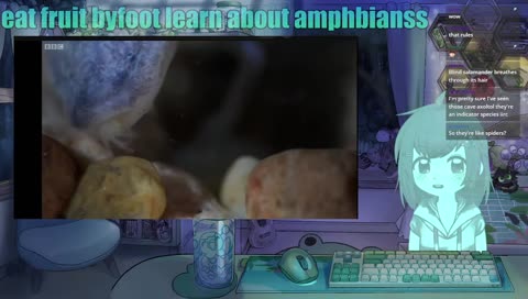 late night gaming