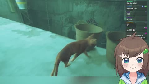 the cat game