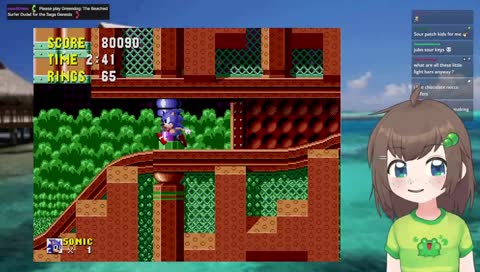 hedgehog game again